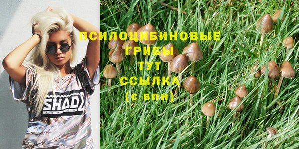 героин Инта