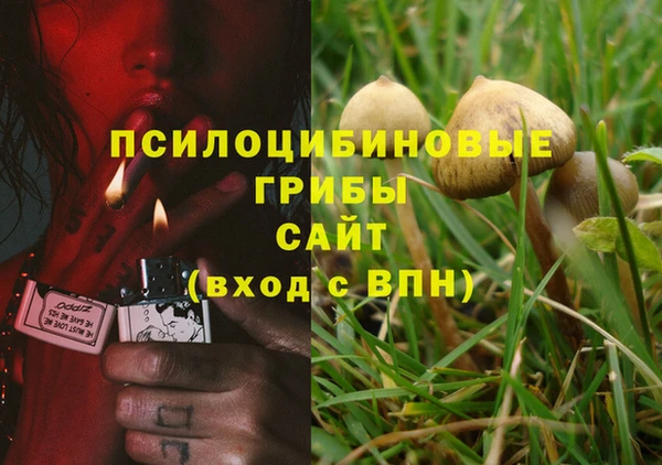 героин Инта
