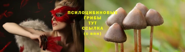 героин Инсар