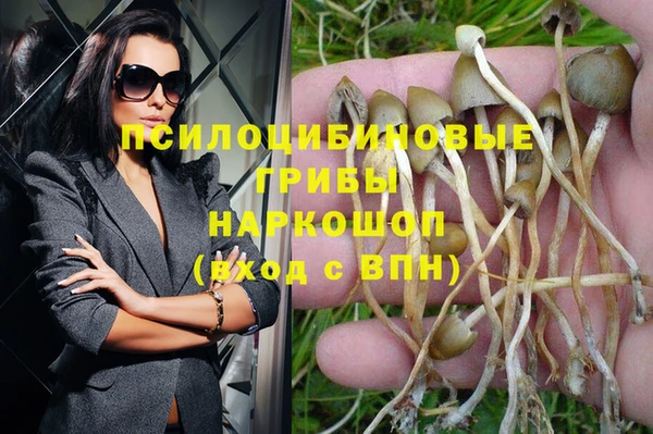 тгк Иннополис