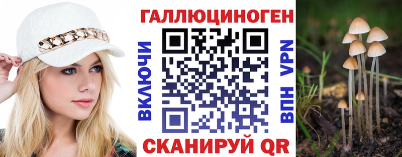 Галлюциногенные грибы MAGIC MUSHROOMS  Купить закладки  Избербаш 
